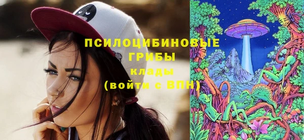дживик Михайлов