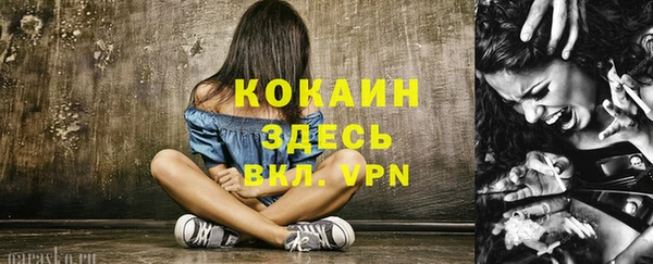 твердый Михайловка