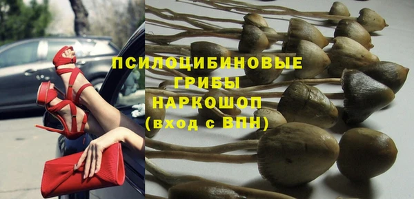дурь Наволоки