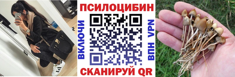 hydra как зайти  Чишмы  Псилоцибиновые грибы MAGIC MUSHROOMS 